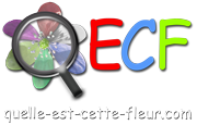 Image of logo.png#: https://quelle-est-cette-fleur.com/img/logo.png